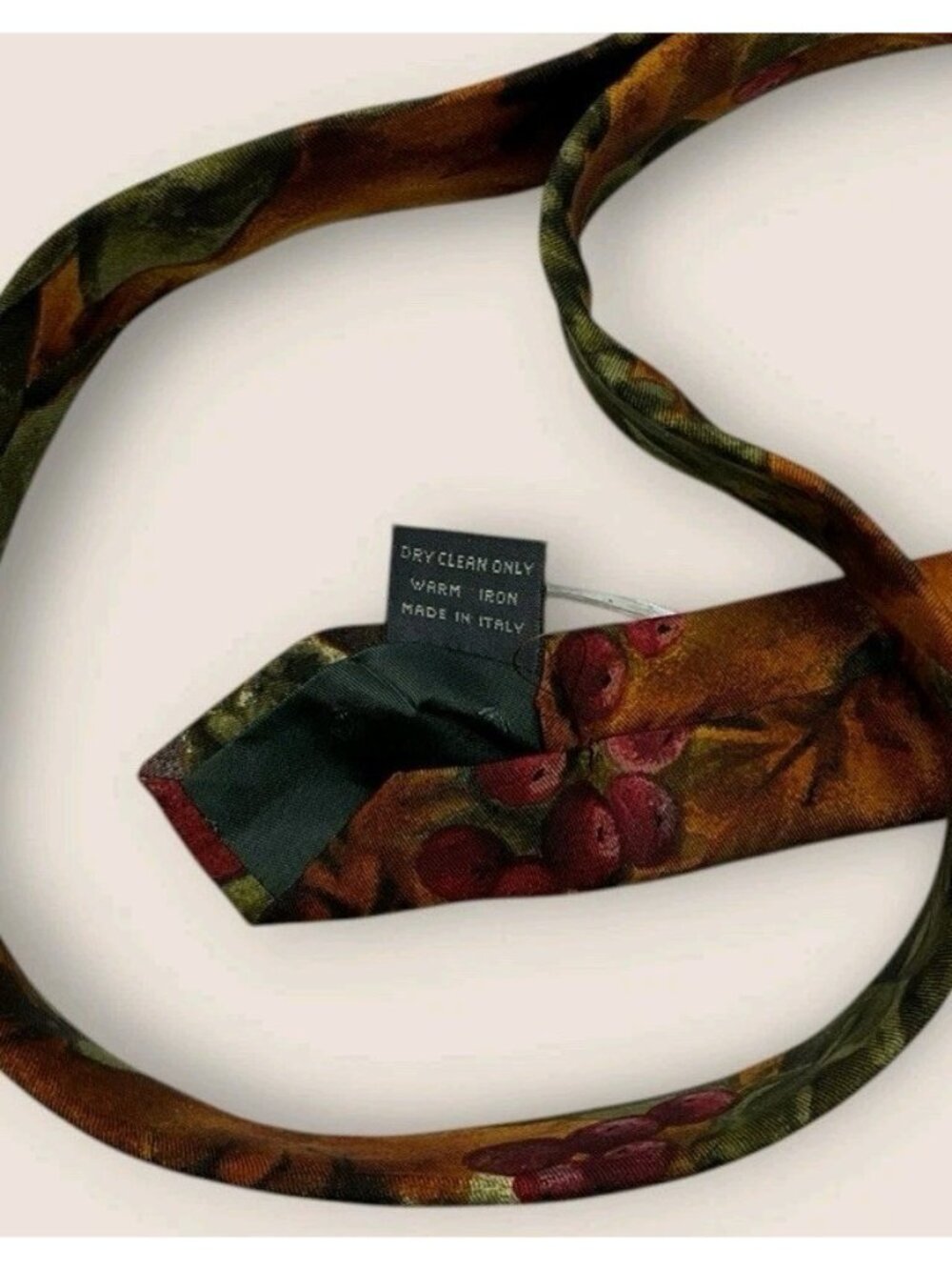 ERMENEGILDO ZEGNA Silk Tie ITALY Brown Green Fruit Leaf W:3.7" EUC - Picture 3 of 6